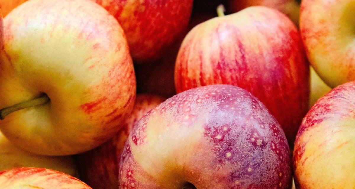 apples-cover