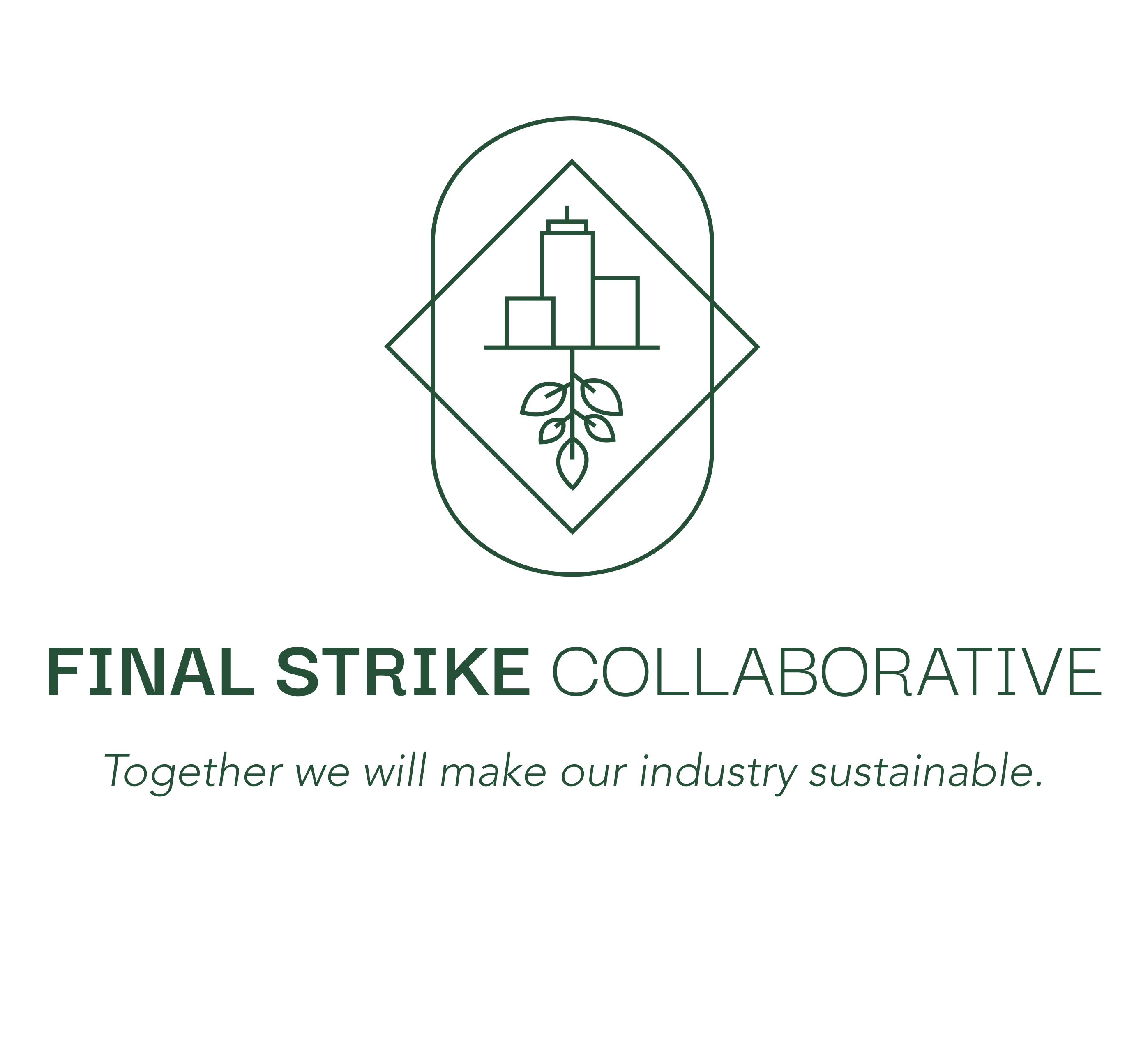 Final Strike Collaborative
