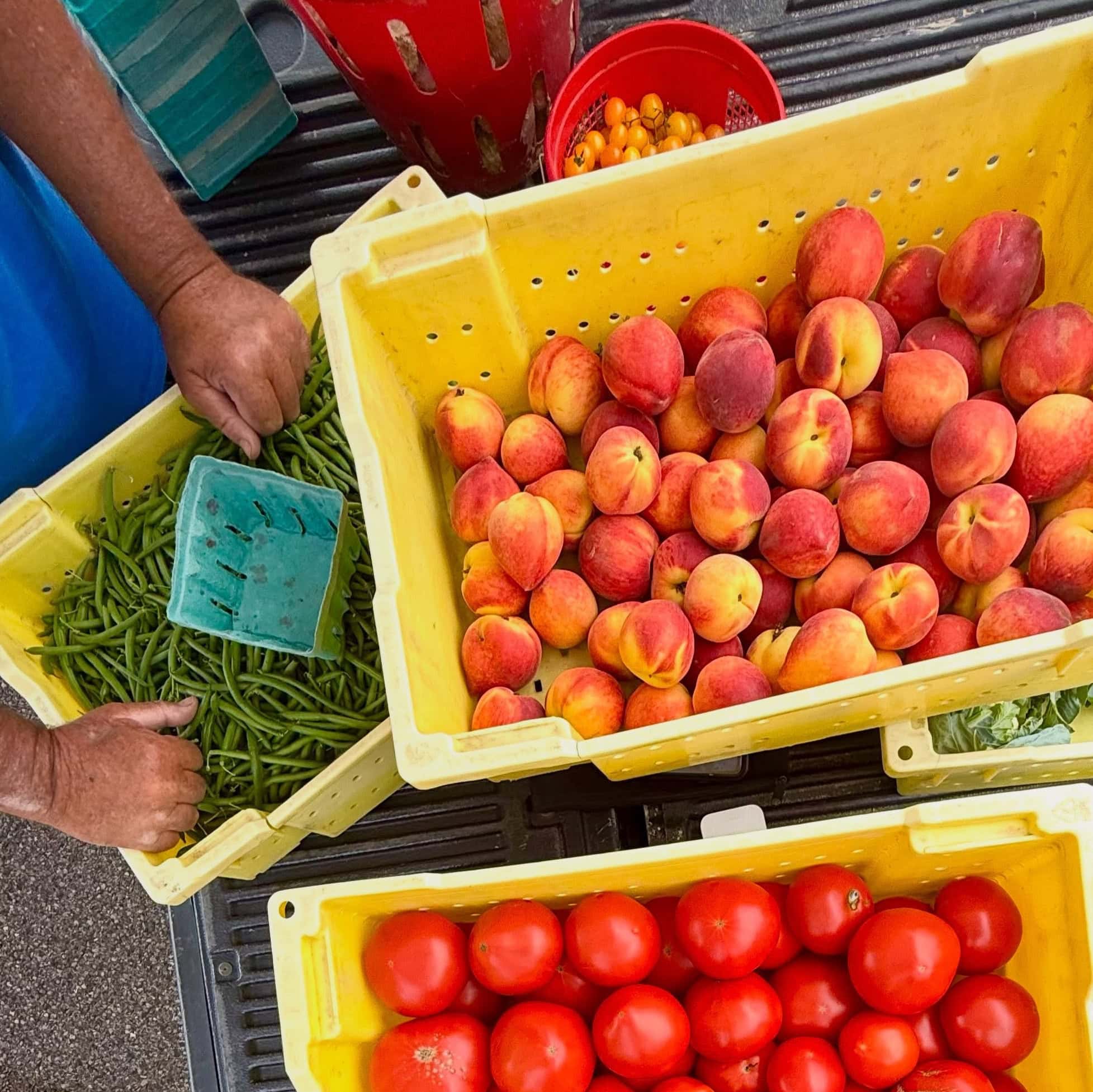 wwfm tomatoes